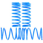 Sport Lowering Springs Kit for Acura RSX (2002–2004) [2" F / 2" R]