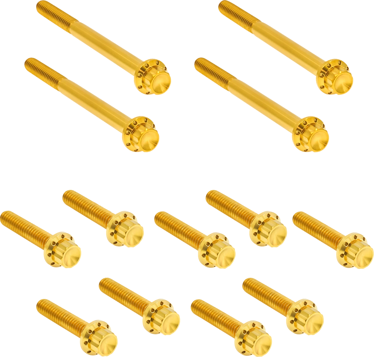 Bolt Kit for Harley FLT (300-928) - Titanium 12-Point Gold