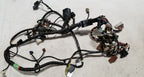 Engine Management PCM Harness for Jaguar XJ8L XJ8 VDP (2001) LNG3350EB