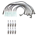 Denso Wire Set & 8 Platinum TT Spark Plugs for Dodge 5.2 5.9 V8 (1994–2003)