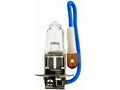 Front Fog Light Bulb for Jaguar XK8 (1997) PG323HR