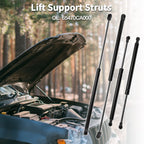 Lift Supports Struts for Nissan Murano Z50 (2003–2007)