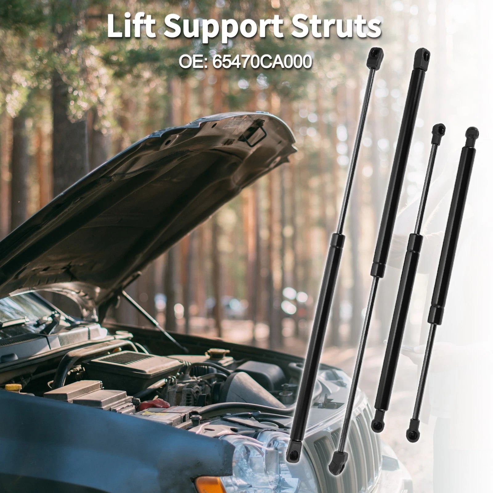 Lift Supports Struts for Nissan Murano Z50 (2003–2007)