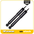 Front Shock Absorbers Assembly for Dodge Ram 1500 4WD (2002–2005)