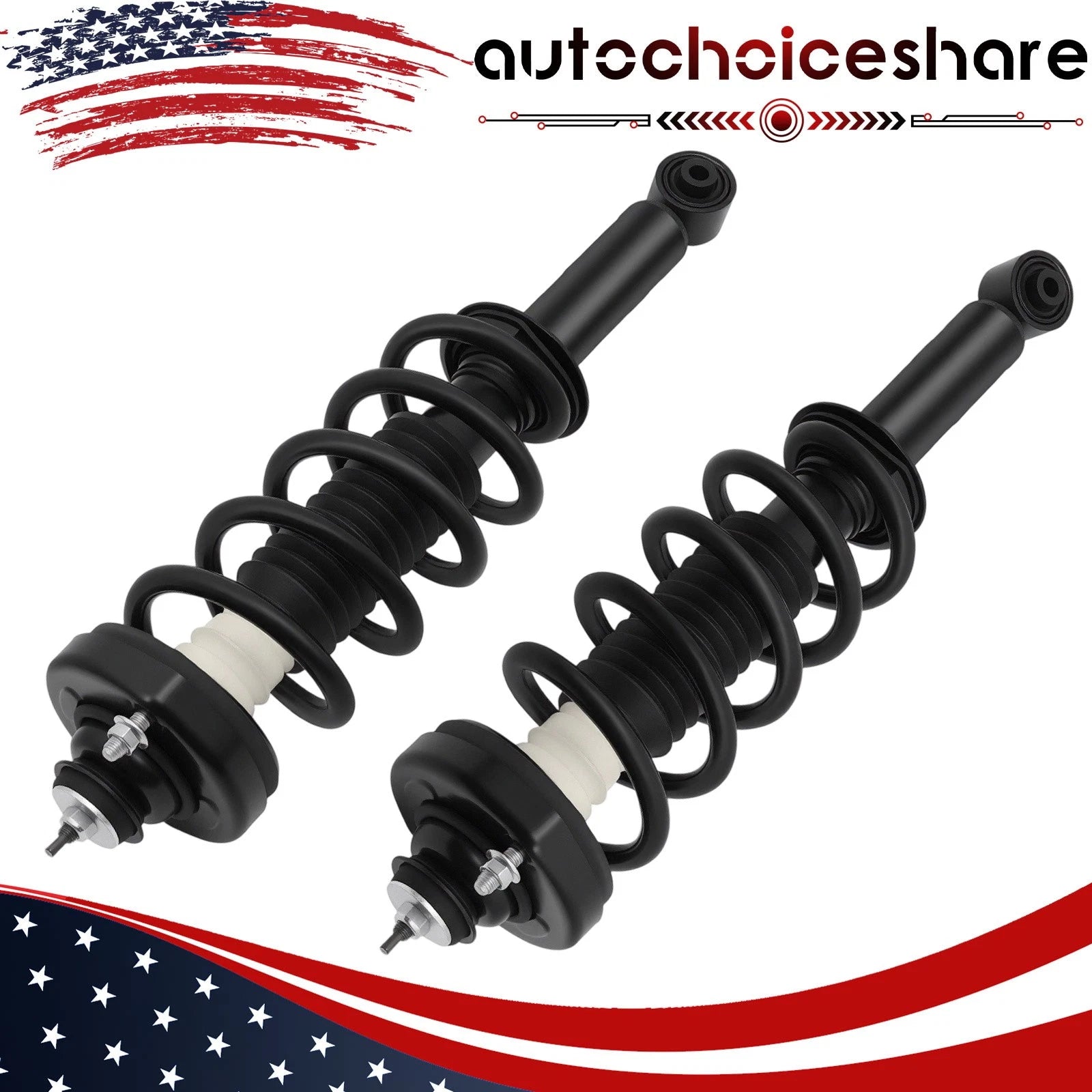 Set of 2 Rear Shocks Struts Assembly for Dodge Journey (2011–2019)