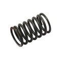 Valve Inner Spring for A-31744131-AI