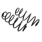 Rear Coil Spring Kit Heavy Duty for Buick Chevy Oldsmobile (4412103)