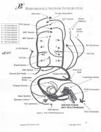 T56 Standalone Wire Harness for LS LS3 Vortec (2003-2007)