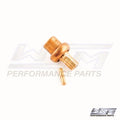 Thermostat for Johnson Evinrude 9.9/15/60-70/120-300 HP (1975–2000) - 775-102