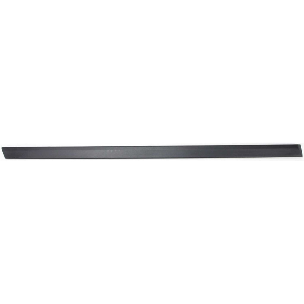 Set of 4 Door Molding and Beltlines for Make Model