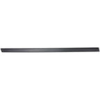 Set of 4 Door Molding and Beltlines for Make Model