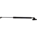 Liftgate Lift Supports for Toyota 4Runner (Right/Left)