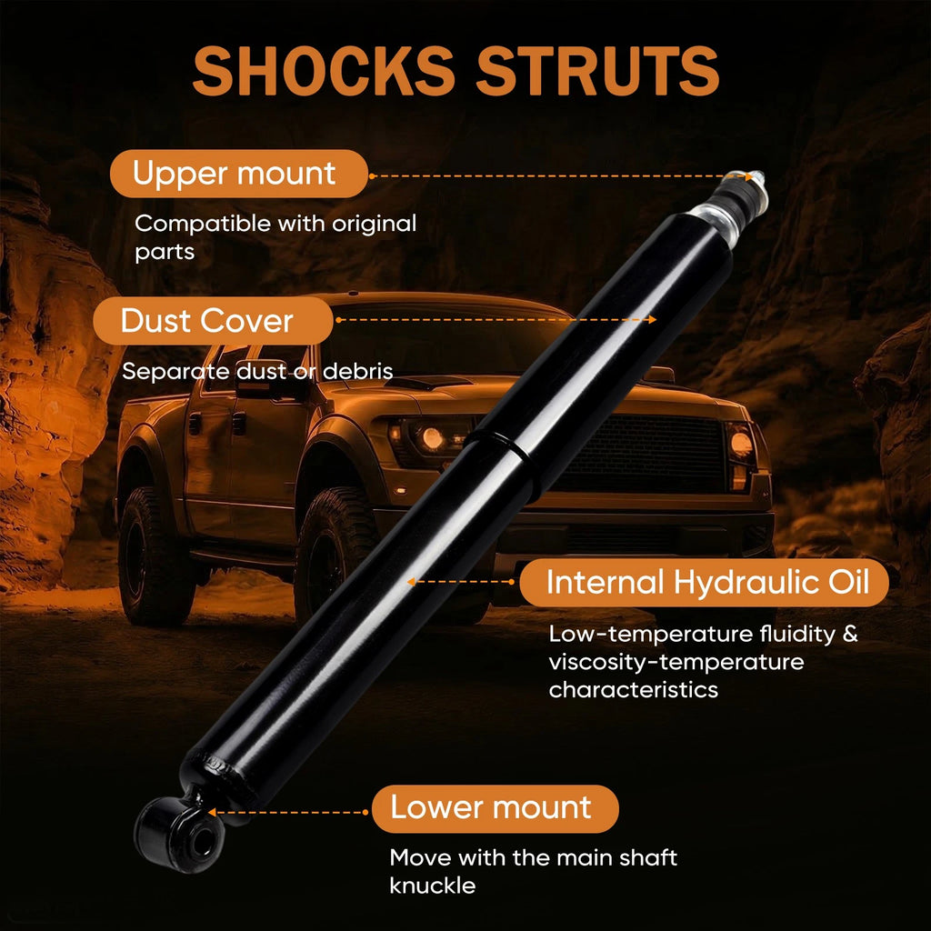 Set of 2 Rear Struts for Ford E-150 E-250 E-350 E-450