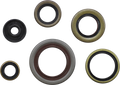 Oil Seal Gasket Kit for Gas Gas/Husqvarna/KTM (822348mse)