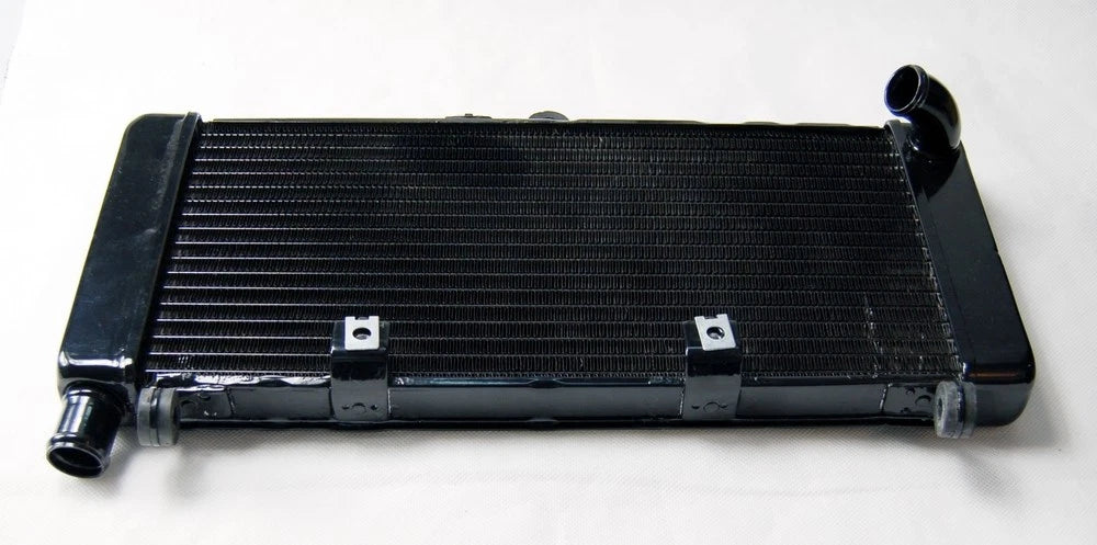 Radiator Grille Guard for Honda CB900 CB919F Hornet900 (2002–2007) Black