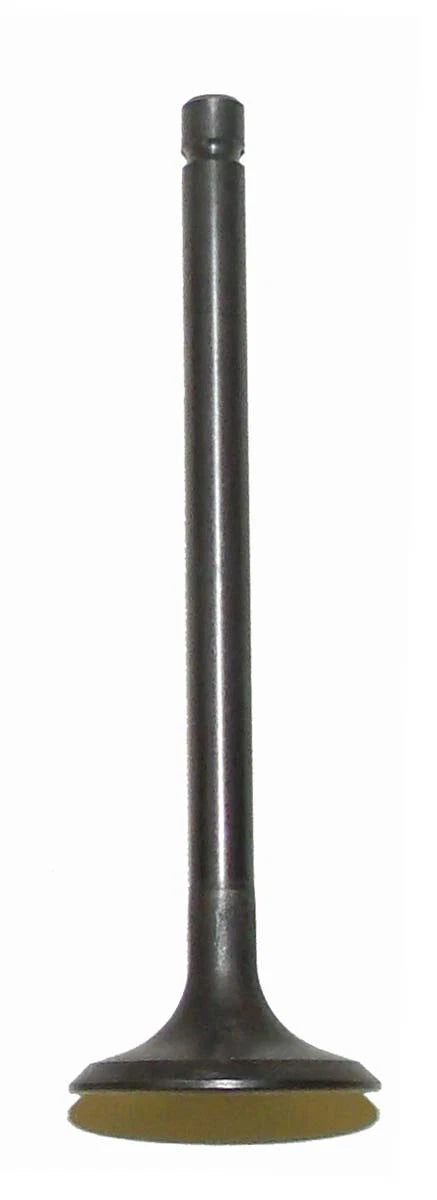 WSM Exhaust Valve for Yamaha 200-250 (1983–2009) 017-301-02