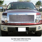 Stainless Steel Mesh Grille Insert for Ford F150 (2009-2012)