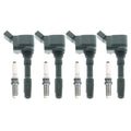Set of 4 Ignition Coils & NGK Ruthenium HX Spark Plugs for A3, Macan, Passat (L4)