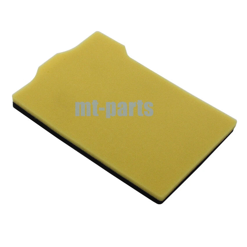 Air Filter Element for Yamaha XTZ250 YS250 YBR250 (1S4-14451-00)