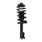 Rear Struts w/ Coil Spring for Saturn SC SC1 SC2 SL SL1 SL2 SW1 SW2 (1991–2002)
