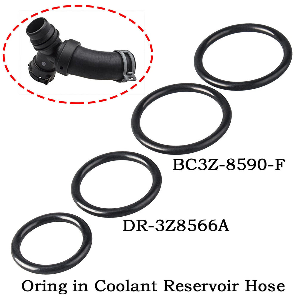 Set of 4 Coolant Hose O-Rings for Ford F-150, Mustang (2011–2018)