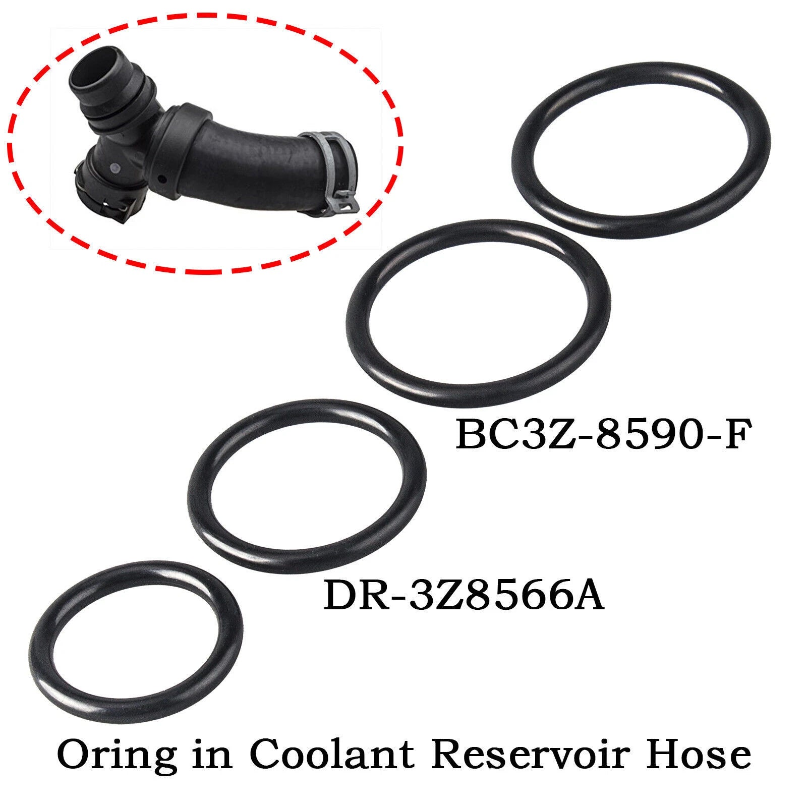 Set of 4 Coolant Hose O-Rings for Ford F-150, Mustang (2011–2018)