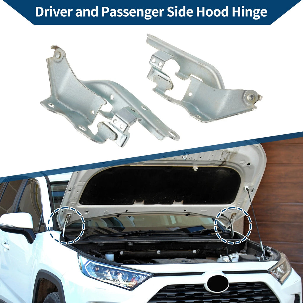Hood Hinges for Toyota Tacoma (2015–2022) 1 Pair No. 5341004020