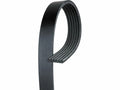 Multi Rib Belt for Mazda 6 (2009–2013) B146DD