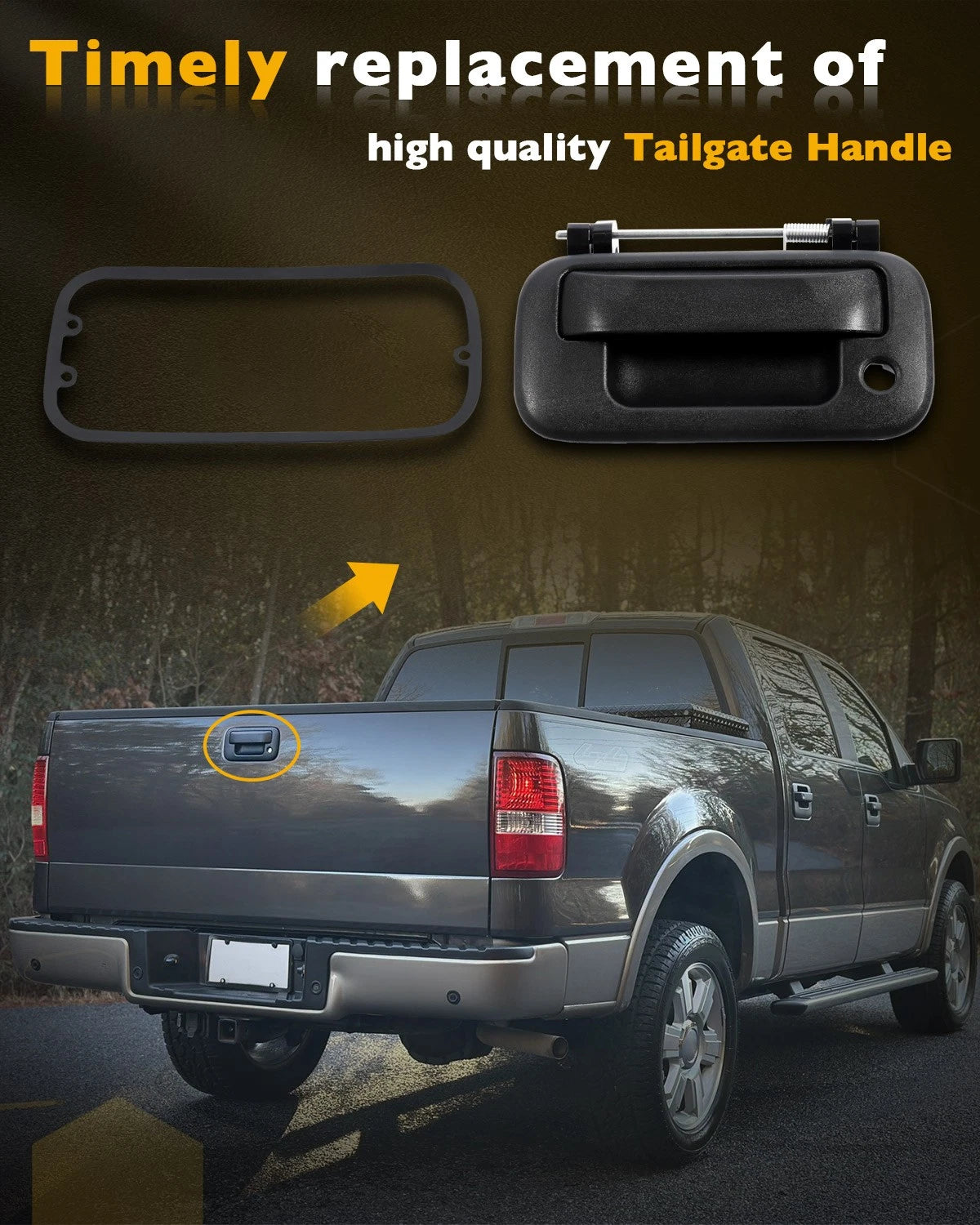 Tailgate Handle Latch for Ford F150 F250 F350 (2004-2016)