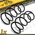 2X Front Coil Springs for BMW E90 E91 E92 320i 325i 330i (2004–2013)