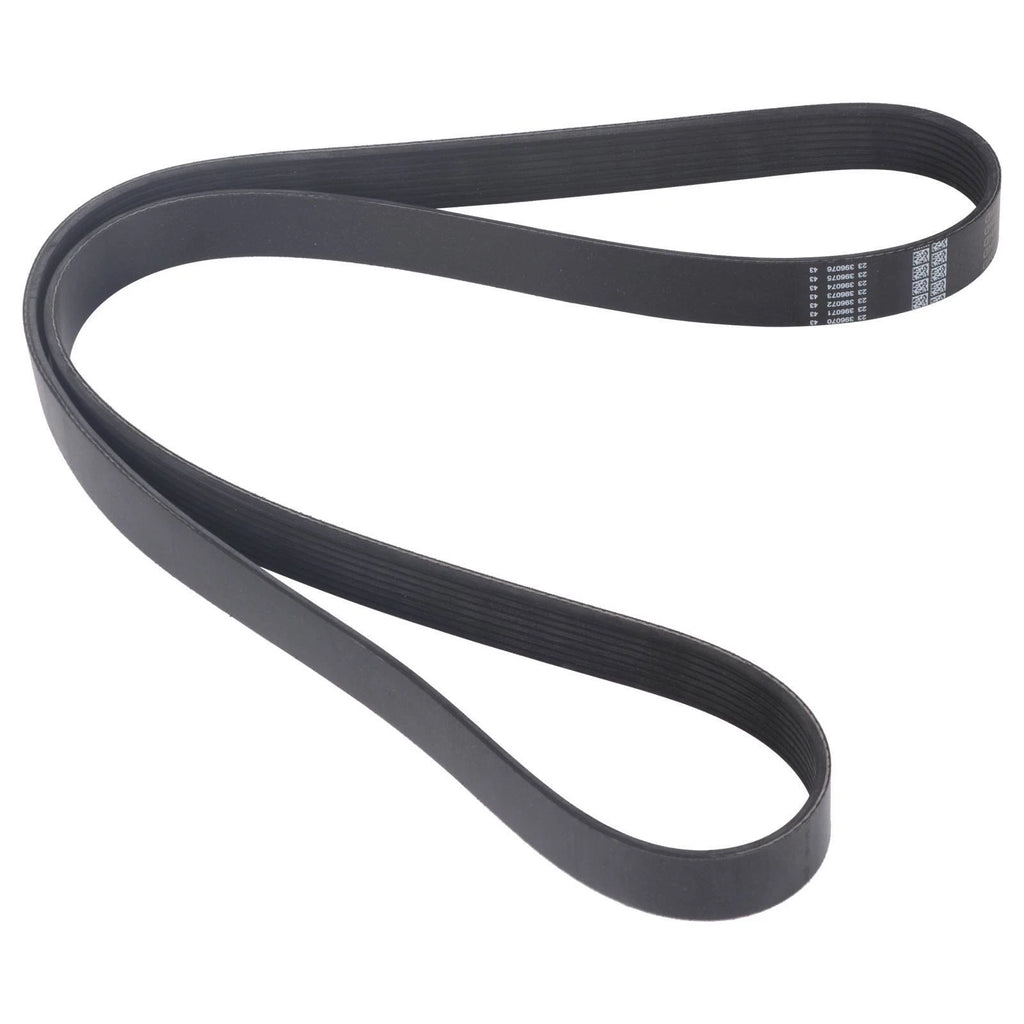 Serpentine Belt for Caterpillar CAT 824C 826C 826G 980G 980H 986H