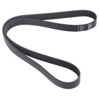 Serpentine Belt for Caterpillar CAT 824C 826C 826G 980G 980H 986H