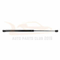 Set of 2 Liftgate Struts for Audi Q7 (2006–2015) Gas Spring Shock Prop