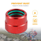 Pipe Collar Joint Clamp Guard for Beta RR 250/300 (2020–2024)