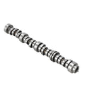 Engine Camshaft for Pontiac Grand Prix, Saab 9-7x, GMC Sierra (2004–2008) 12625436