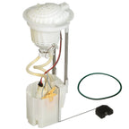Delphi FG0817 Fuel Pump Module Assembly for Dodge Ram 1500 (2004–2006)