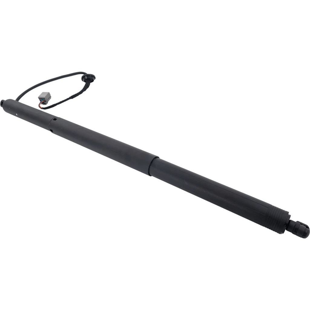 Liftgate Lift Supports Set of 2 for S Pair