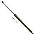 Hatch Lift Support for Honda Odyssey (2003–2004)