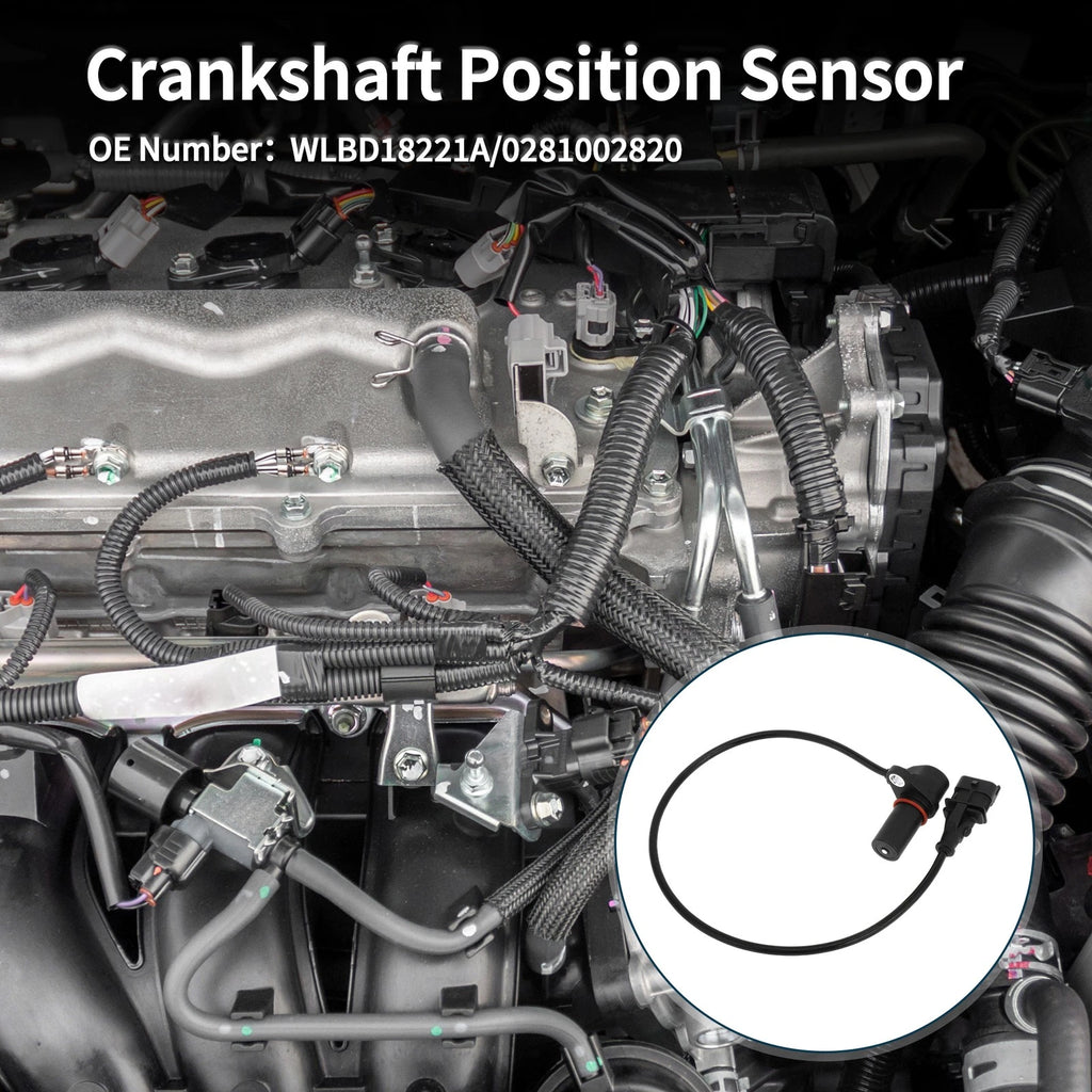 Crankshaft Position Sensor for Mazda BT-50 (2006–2013) No. 0281002820