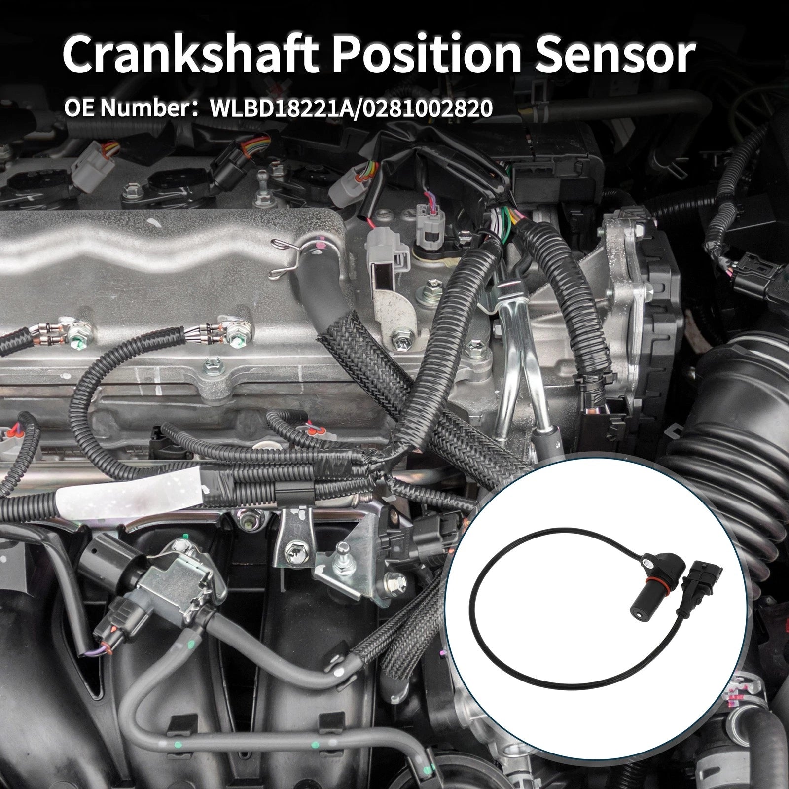 Crankshaft Position Sensor for Mazda BT-50 (2006–2013) No. 0281002820