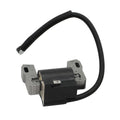 2X Ignition Coil 592846 691060 799651 for Briggs & Stratton (499447, 843931)