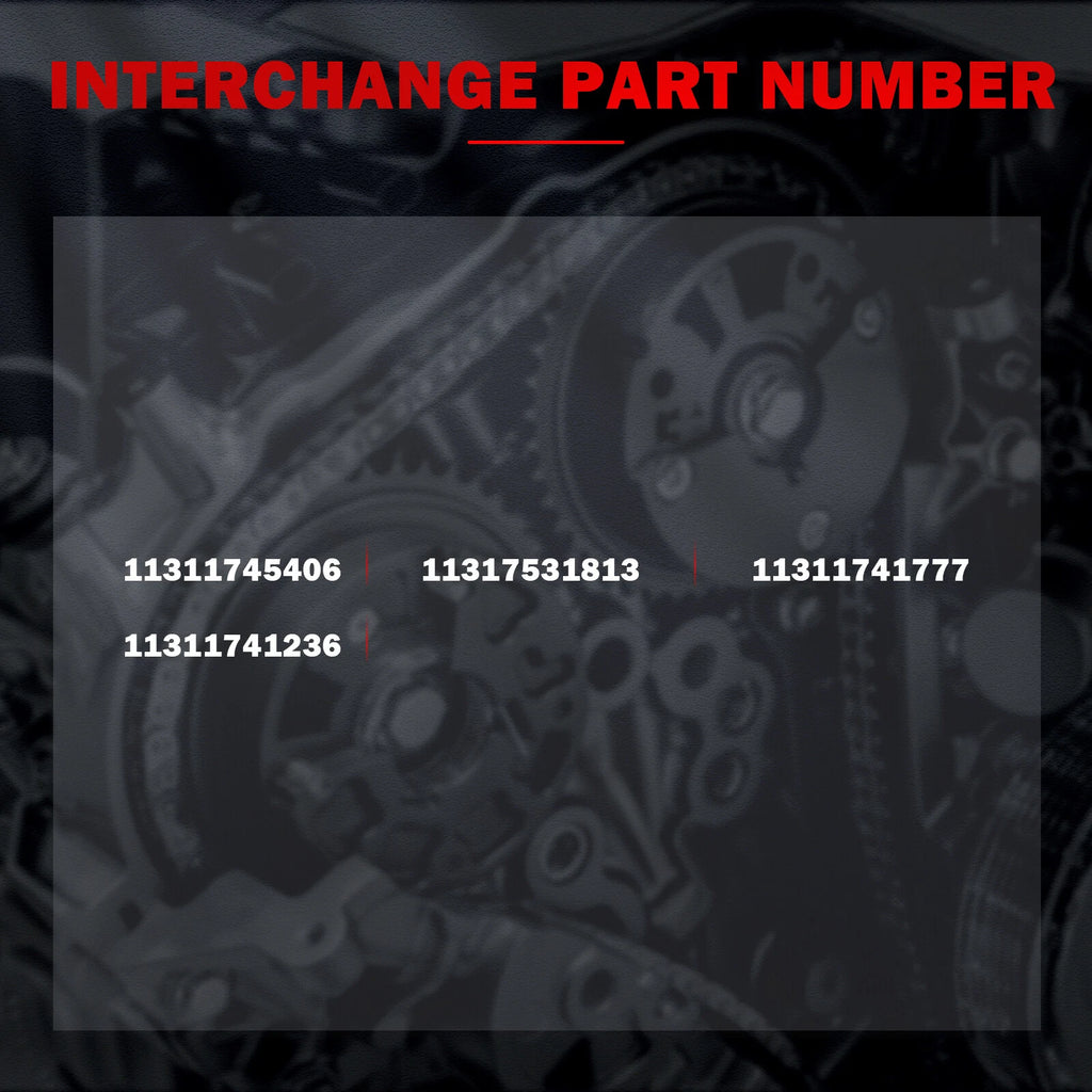Timing Chain Guide Rail Set for BMW 540i E39 (1998-2003)