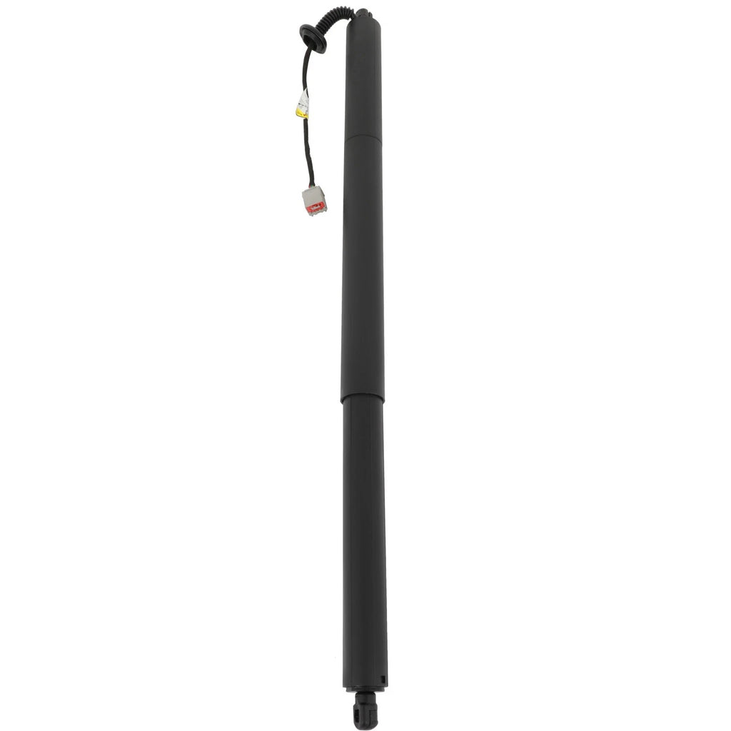 Liftgate Lift Support for Ford Kuga & Escape (2013–2019)