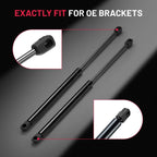Hood Struts for Dodge Ram 1500 2500 3500 (2002-2010)