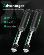 Front Shocks Struts for Dodge Dakota (1997–2004)