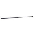 Gas Charged Lift Support for Audi S6 A6 Quattro (2005–2011)