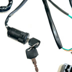 Wiring Harness Loom for GY6 200cc 250cc Engine Quad Dirt Bike ATV (2000–2023)