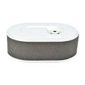 Air Filter with Prefilter for MTD (11703)