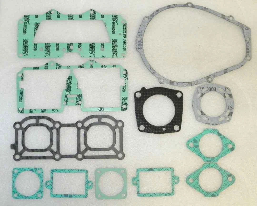 Gasket Kit for WSM