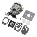 Carburettor Kit for Multiple Engine Variants (Diverse Compatibility)
